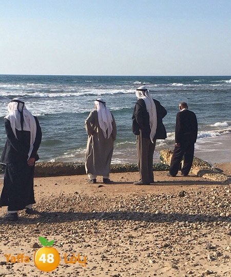 nady moseneeen (2).jpg